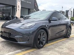 Tesla Model Y Long Range Edition - фото 1
