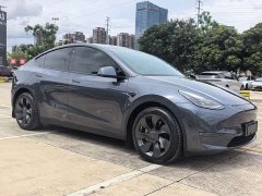 Tesla Model Y Long Range Edition - фото 3