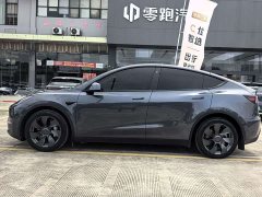 Tesla Model Y Long Range Edition - фото 8