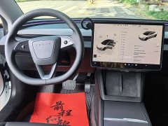Tesla Model 3 Edition - фото 11