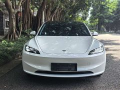 Tesla Model 3 Edition - фото 2