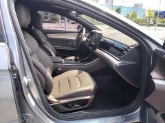 Lexus Han 2020 DM four-wheel drive performance version luxury - фото 13