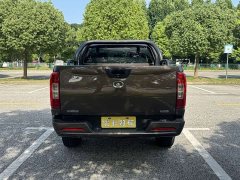2.0T Edition2WD VersionGW4D20M - фото 10