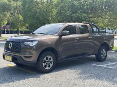 2.0T Edition2WD VersionGW4D20M - фото 2