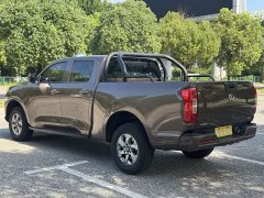 2.0T Edition2WD VersionGW4D20M - фото 6