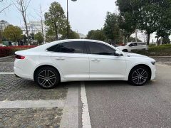 2.0TD Luxury Version - фото 3