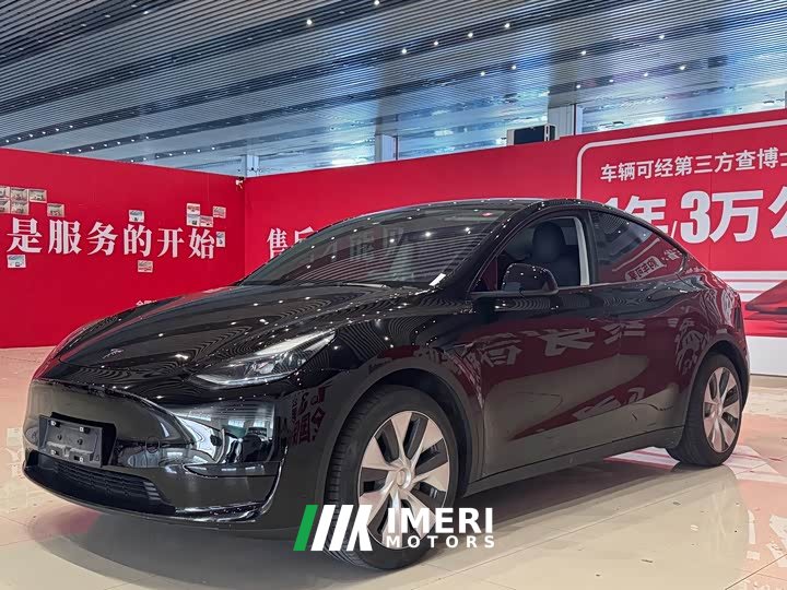 Tesla Model Y Edition - автомобиль из Китая
