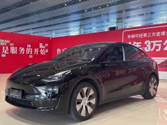 Tesla Model Y Edition - фото 1