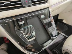 Hongqi HQ9 2.0T Edition - фото 16