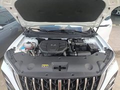Hongqi HS5 2.0T Pro Edition - фото 20