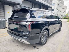 Hongqi HS7 PHEV 2.0T PHEV AWD Edition 6 - фото 3