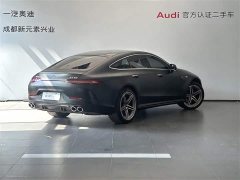 Mercedes-Benz AMG GT AMG GT 50 - фото 4