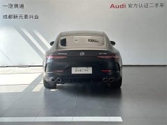 Mercedes-Benz AMG GT AMG GT 50 - фото 5