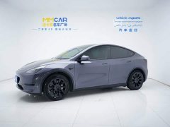 Tesla Model Y Edition - фото 1