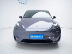 Tesla Model Y Edition - фото 10