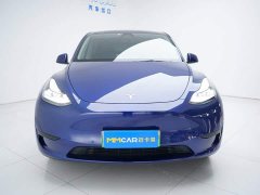 Tesla Model Y Edition - фото 12