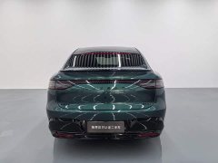 R7 EV Max (192) - фото 6