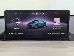R7 EV Max (192) - фото 7