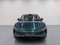 R7 EV Max (192) - фото 9