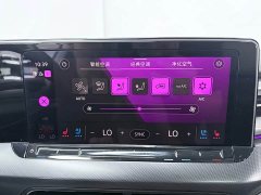 Volkswagen L 280TSI DSGFlagship Edition - фото 14