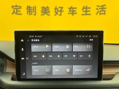 3.0T V6 AWDDeluxe Edition - фото 13