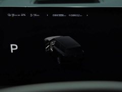 Audi LS8 52 Max Flagship - фото 8