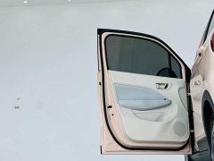 Leapmotor T03 200 Edition - фото 12
