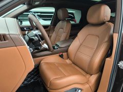 Porsche Cayenne E-Hybrid 2.0T - фото 17