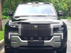 Yangwang U8 Luxury Edition - фото 2