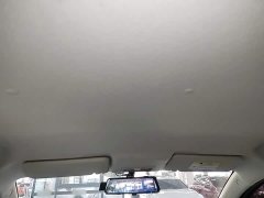 BYD E-Star Edition - фото 18