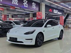 Tesla Model 3 Edition - фото 1