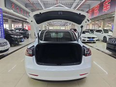 Tesla Model 3 Edition - фото 14