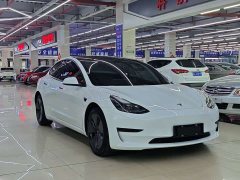 Tesla Model 3 Edition - фото 3