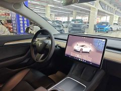 Tesla Model 3 Edition - фото 9