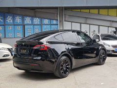 Tesla Model Y Standard Range Edition - фото 4