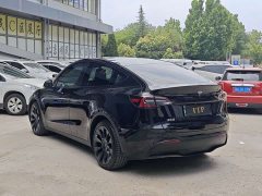 Tesla Model Y Standard Range Edition - фото 6