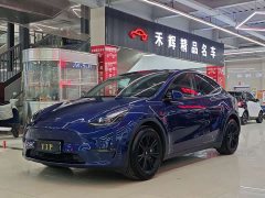 Tesla Model Y Long Range Edition 3D7 - фото 1