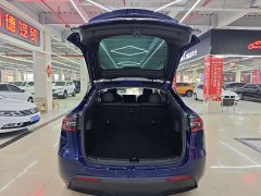 Tesla Model Y Long Range Edition 3D7 - фото 15