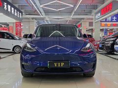 Tesla Model Y Long Range Edition 3D7 - фото 2