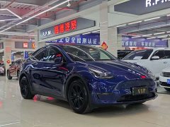 Tesla Model Y Long Range Edition 3D7 - фото 3
