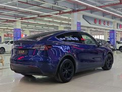 Tesla Model Y Long Range Edition 3D7 - фото 4
