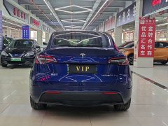 Tesla Model Y Long Range Edition 3D7 - фото 5