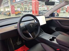 Tesla Model Y Long Range Edition 3D7 - фото 8