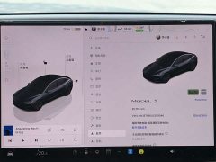 Tesla Model 3 Edition - фото 10