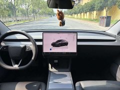 Tesla Model 3 Edition - фото 9