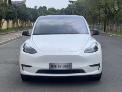 Tesla Model Y Long Range Edition - фото 1