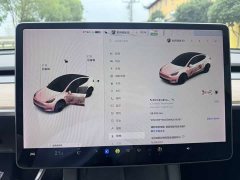 Tesla Model Y Long Range Edition - фото 11