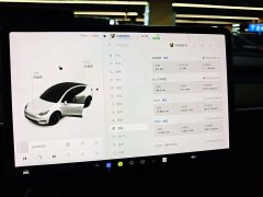 Tesla Model Y Long Range Edition - фото 15