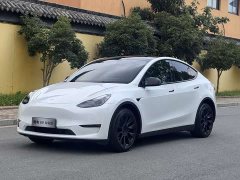 Tesla Model Y Long Range Edition - фото 2