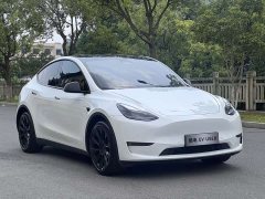 Tesla Model Y Long Range Edition - фото 3